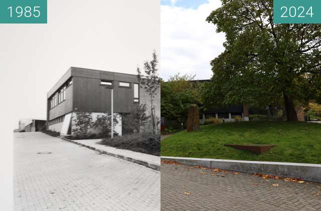 Before-and-after picture of Universität Biologie am Botanischen Garten between 1987 and 08/2024