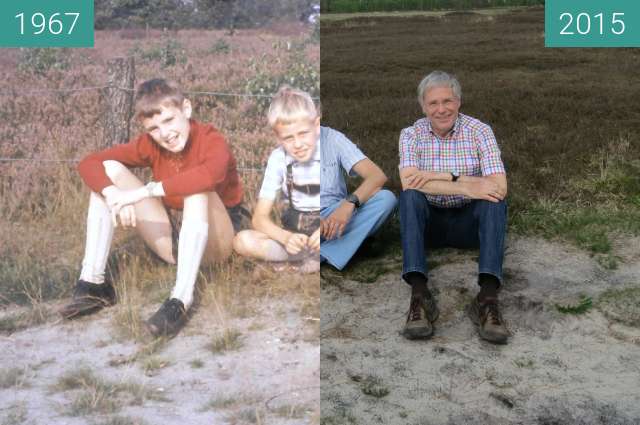 Image avant-après de Schneverdingen in der Lüneburger Heide entre 25/08/1967 et 08/05/2015
