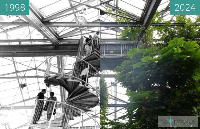 Before-and-after picture of Tropenhaus im Botanischen Garten Osnabrück between 1998-Jun-13 and 08/2024
