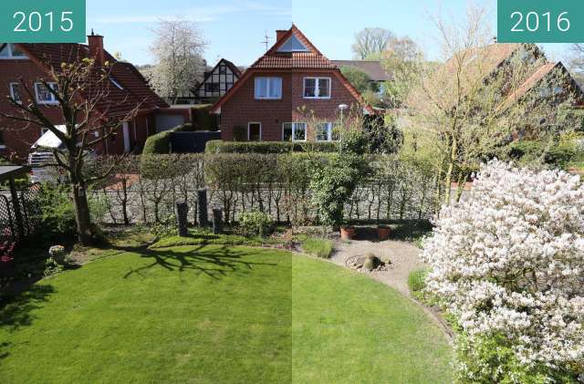 Before-and-after picture of Wachstum der Pflanzen between 2015-Apr-21 and 2016-Apr-21
