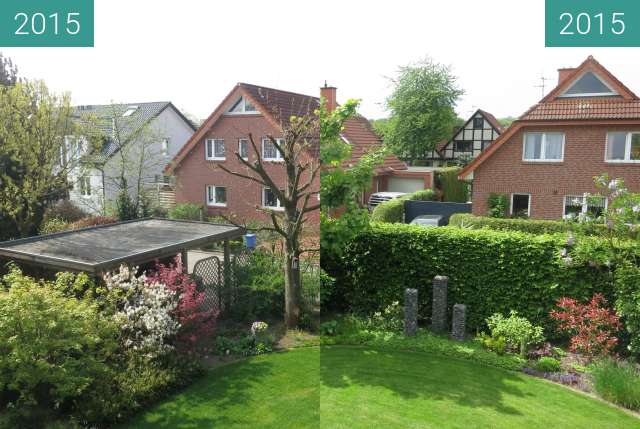 Before-and-after picture of Mein Freund, der Baum between 2015-Apr-24 and 2015-May-17
