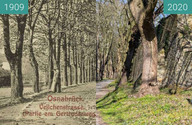 Before-and-after picture of Veilchenstrasse between 06/1909 and 03/2020
