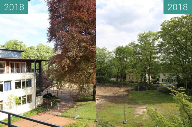 Before-and-after picture of Blutbuche am Heywinkelhaus between 2018-Apr-26 and 2018-Apr-27