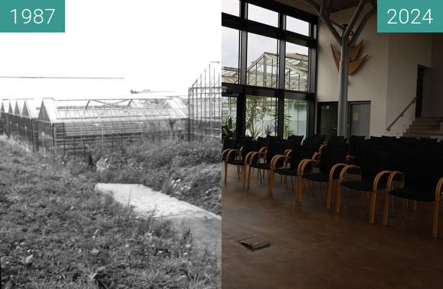 Before-and-after picture of Botanischer Garten Bohnenkamphaus between 1987 and 10/2024