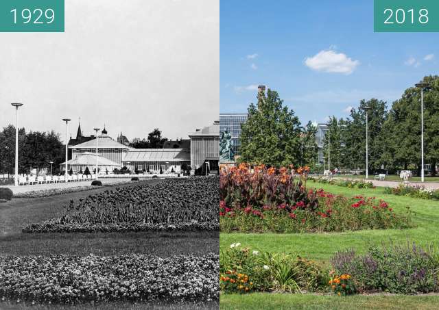Before-and-after picture of Park Wilsona i palmiarnia between 1929 and 2018