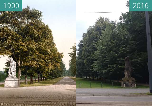 Vorher-Nachher-Bild von Großer Garten Herkulesallee zwischen 1900 und 30.06.2016