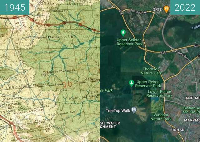 Before-and-after picture of Central Catchment Area, Singapore between 1945 and 2022