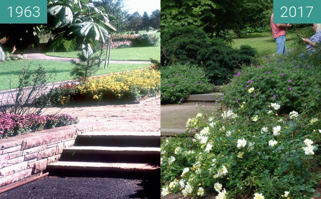 Vorher-Nachher-Bild von Botanischer Garten zwischen 1963 und 18.06.2017