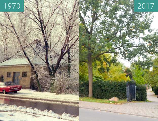 Before-and-after picture of Friedhof in Bobenheim-Roxheim between 1970 and 2017-Oct-08