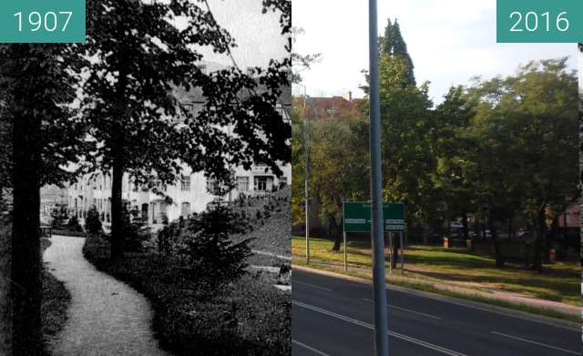 Before-and-after picture of Leopoldring mit Uhligsberg between 1907 and 2016
