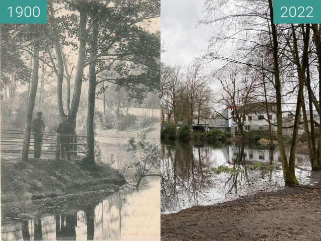 Vorher-Nachher-Bild von Schwanenteich am Schwarzenberg Harburg zwischen 1900 und 20.02.2022